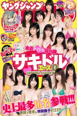 宝藏之觐天宝匣