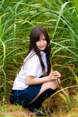 菜园街醒狮会
