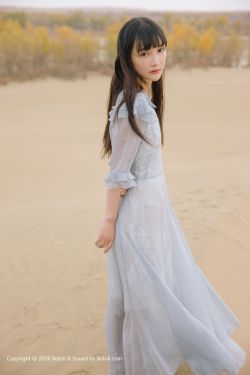 决战燕子门下载